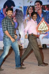 Pyaar Mein Padipoyane Audio Launch